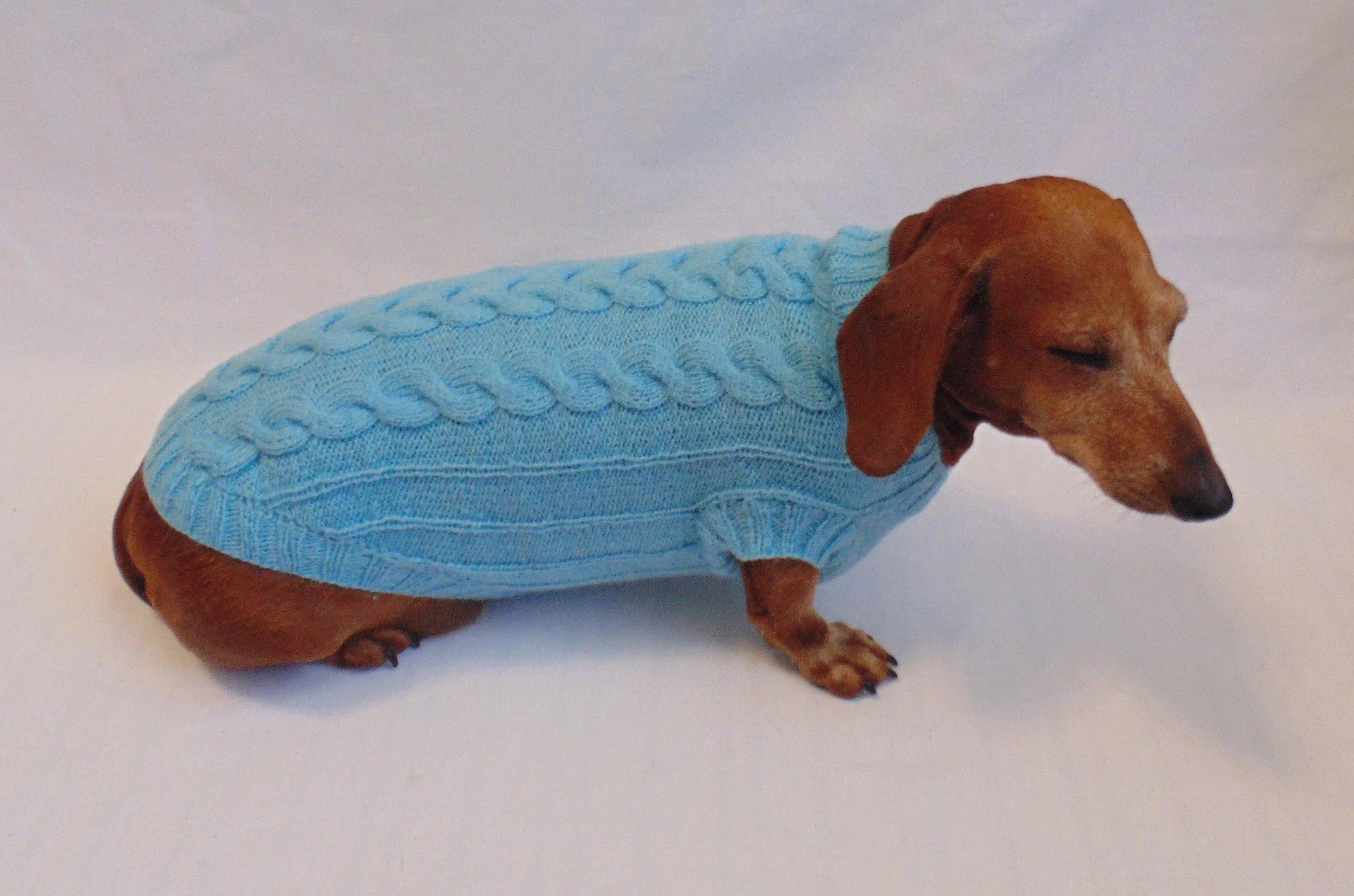 Blue knitted sweater for small dog, clothes for dachshunds, sweater for dogs, clothes for dog