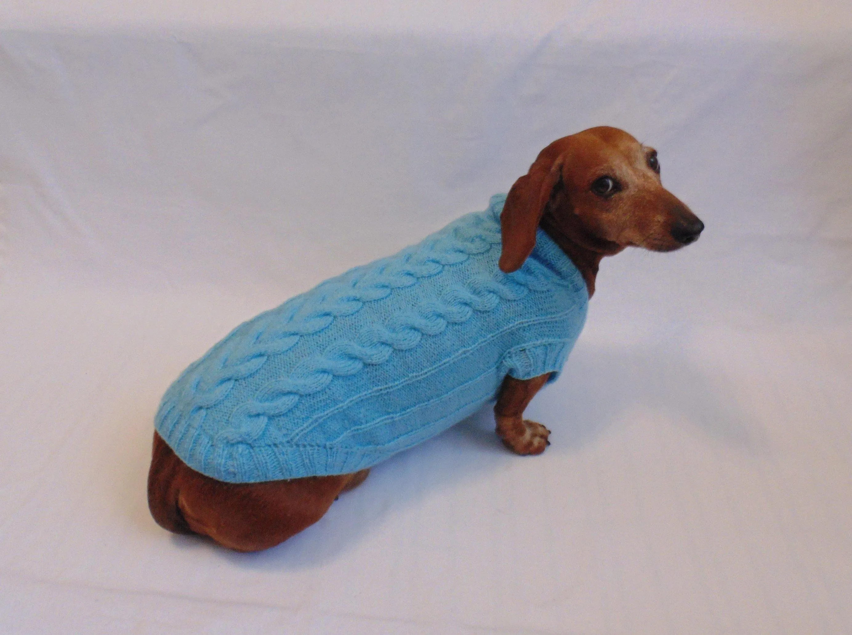 Blue knitted sweater for small dog, clothes for dachshunds, sweater for dogs, clothes for dog