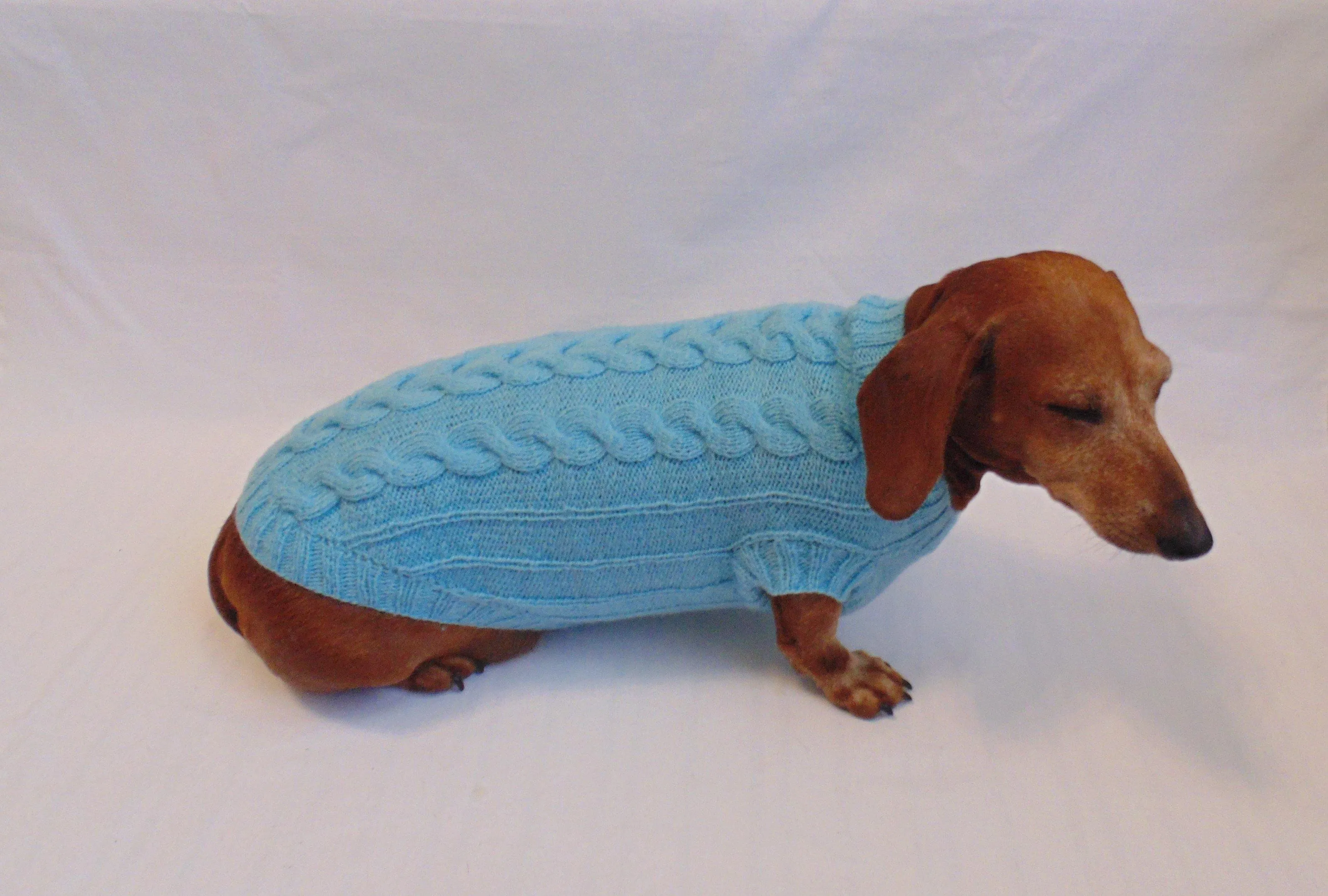 Blue knitted sweater for small dog, clothes for dachshunds, sweater for dogs, clothes for dog