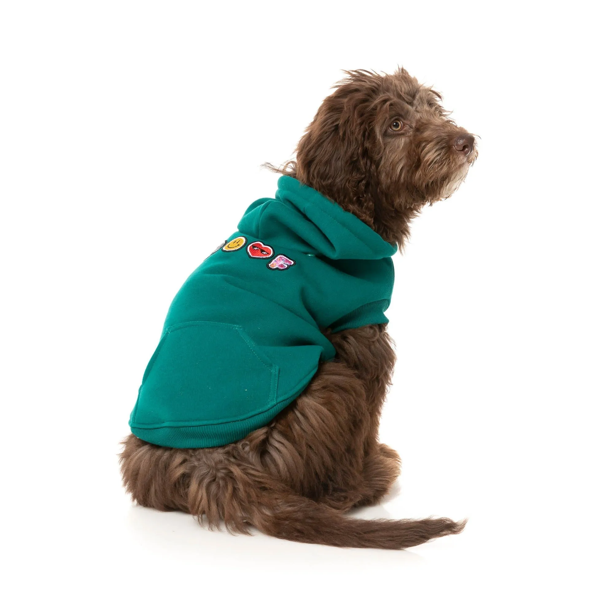 FuzzYard Dog Apparel Wooftagram Hoodie Green Size 2 XSmall***