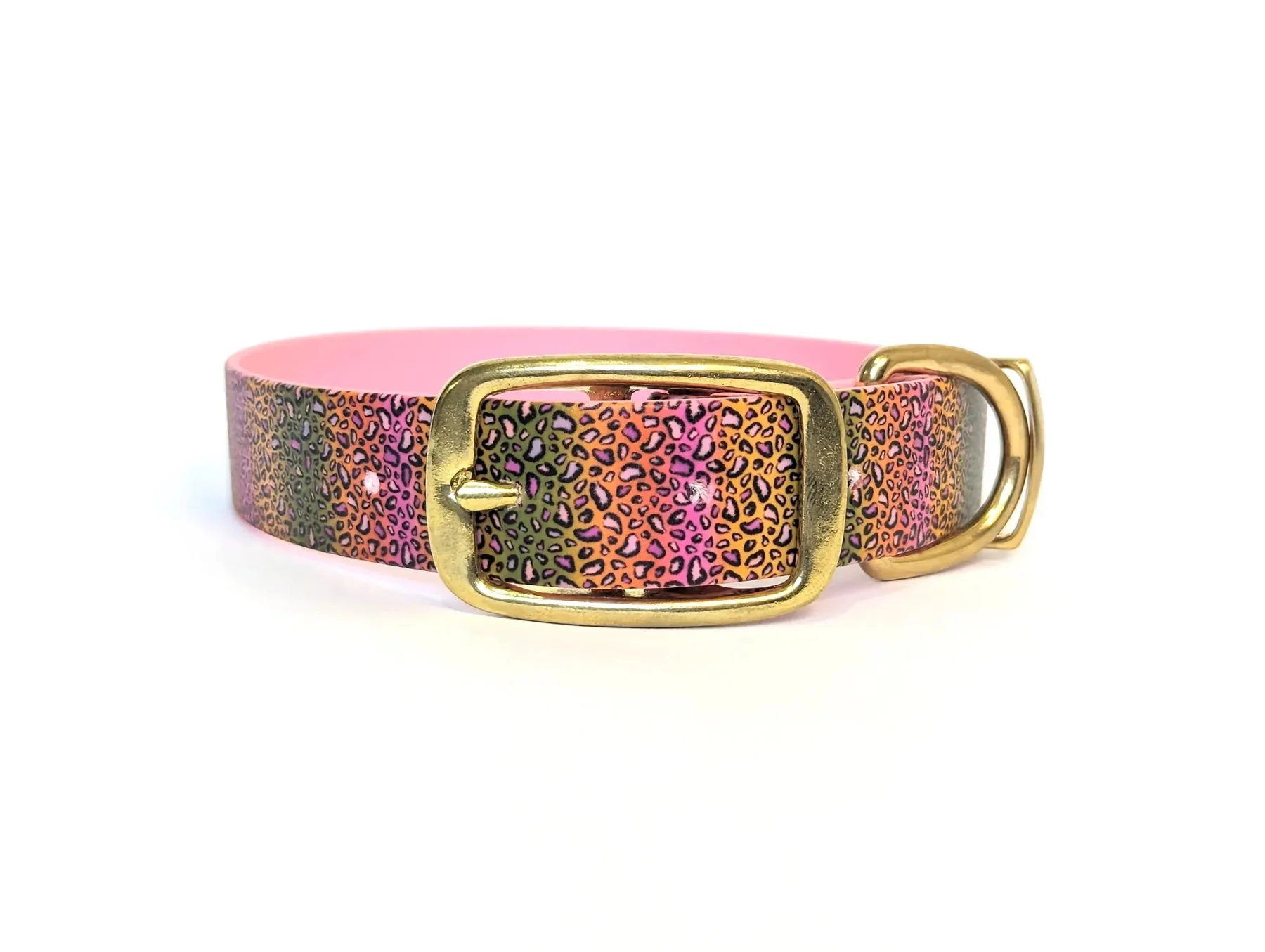 Rainbow Leopard Print Dog Collar