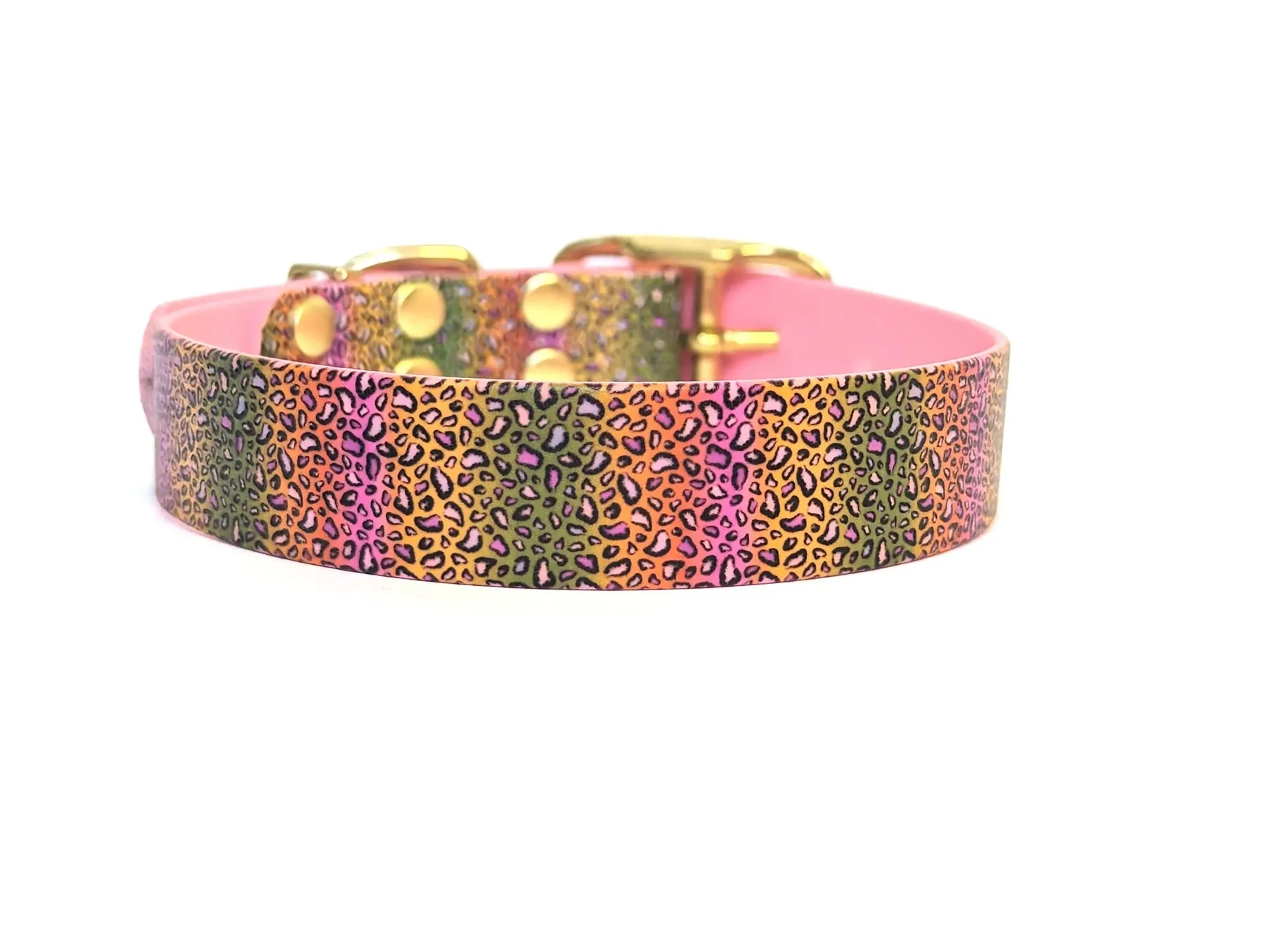 Rainbow Leopard Print Dog Collar