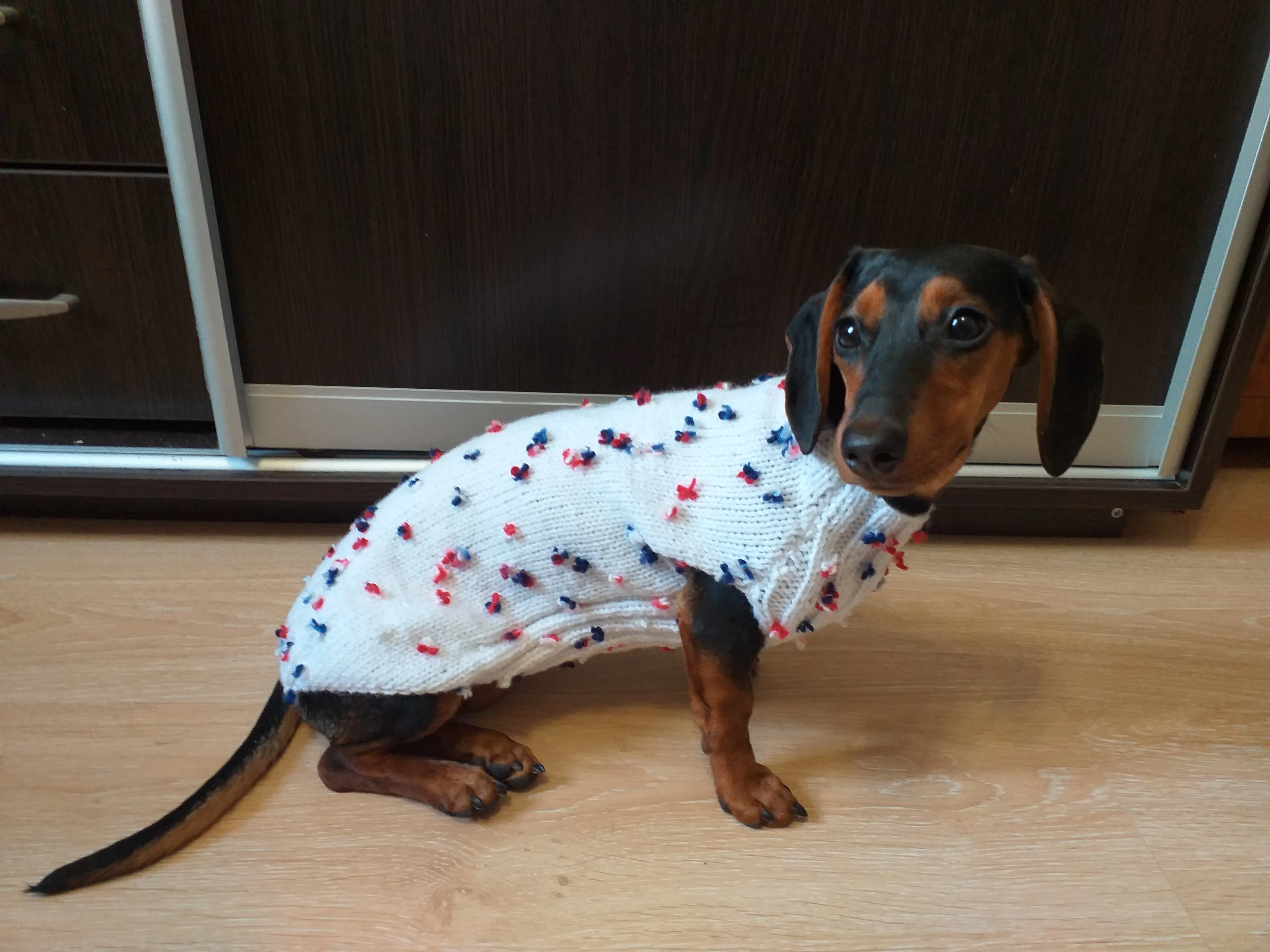 Sweater with flowers and butterflies for miniature dachshund or small dog