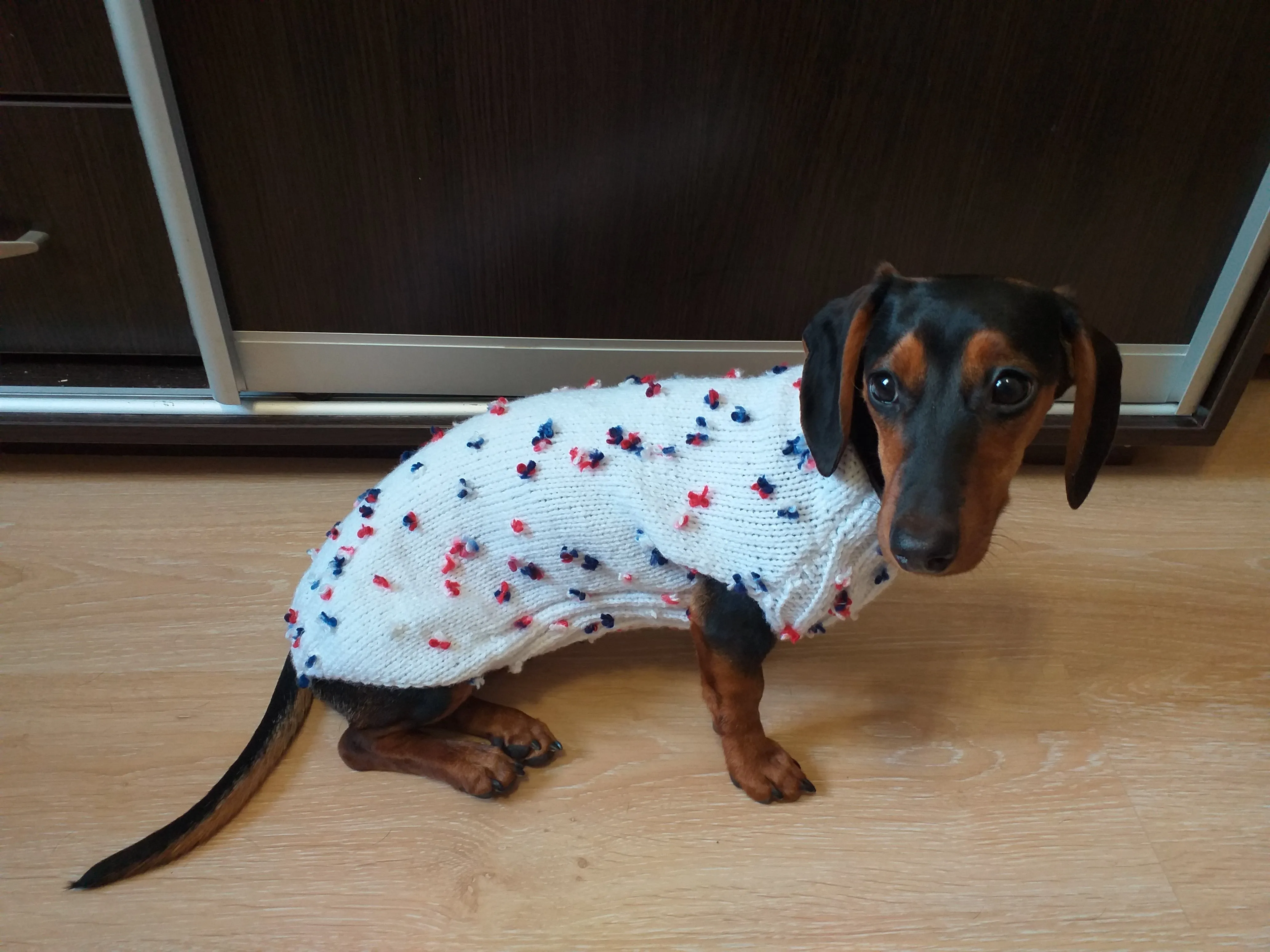 Sweater with flowers and butterflies for miniature dachshund or small dog