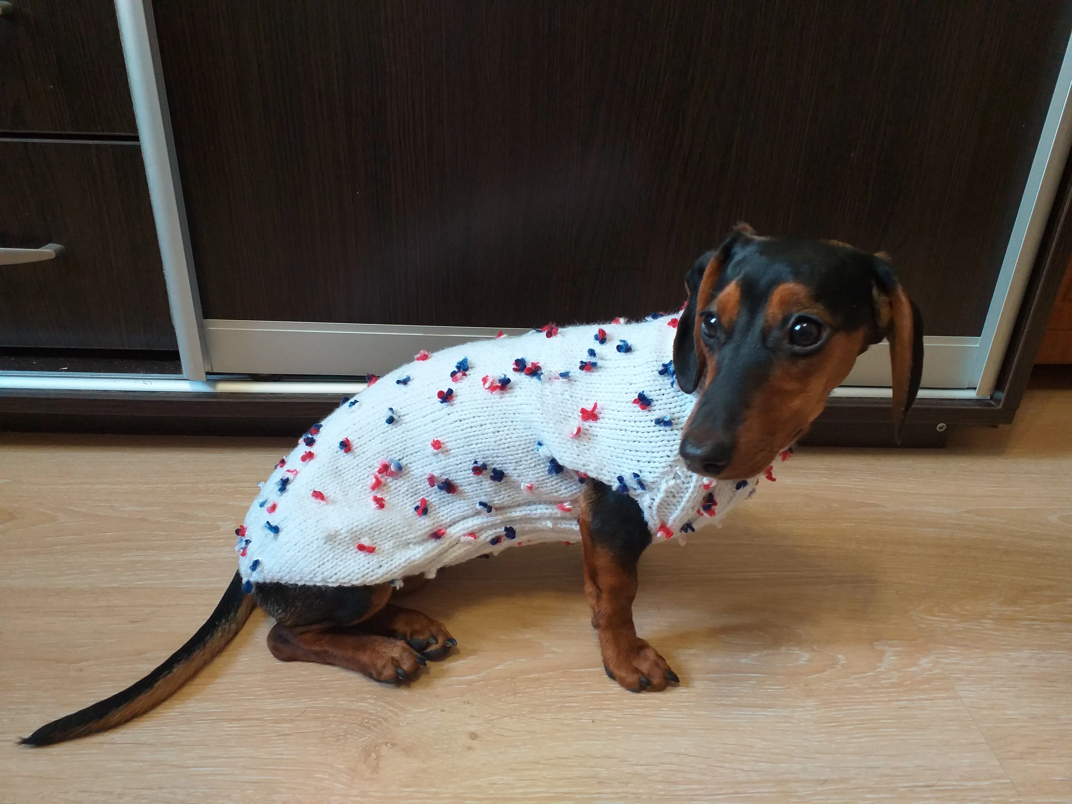 Sweater with flowers and butterflies for miniature dachshund or small dog